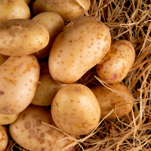 Pommes de terre