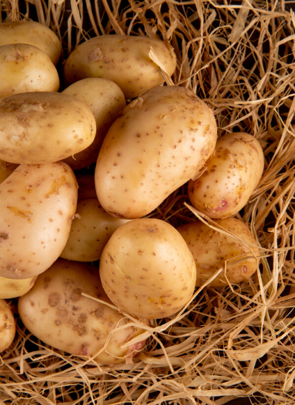 Pommes de terre