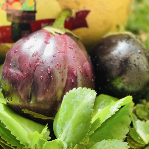 Aubergine