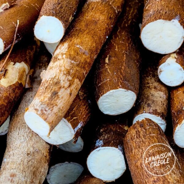 Manioc