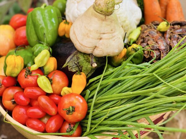 Panier de légumes