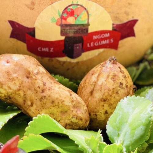Patate