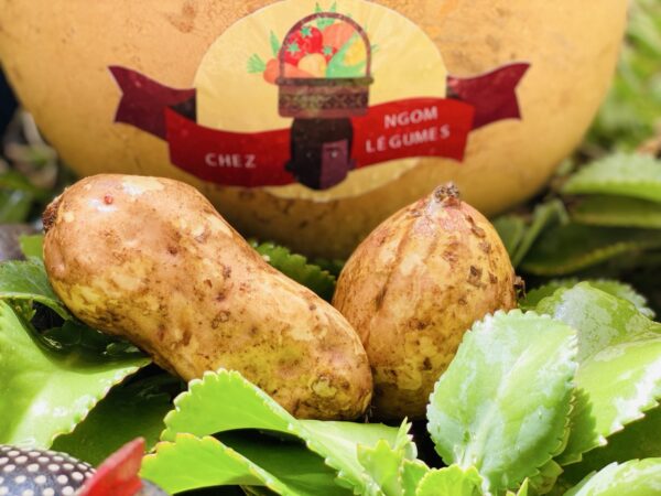 Patate